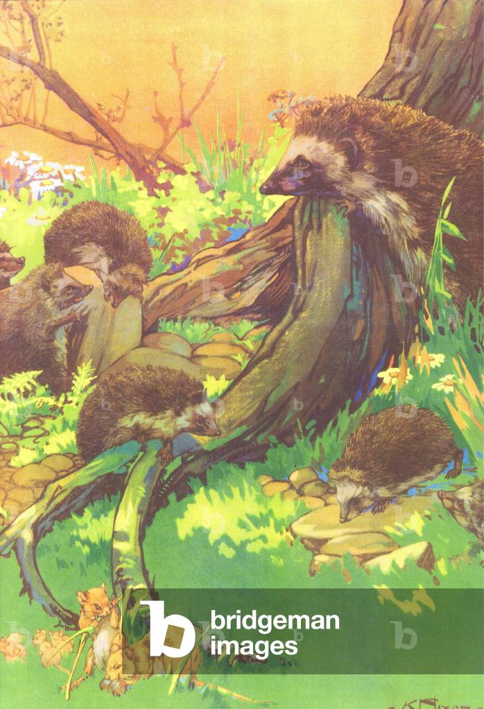 Dormice and Hedgehogs, illustration from 'Folio of School posters. Printers unknown', c.1940-67 (colour litho)