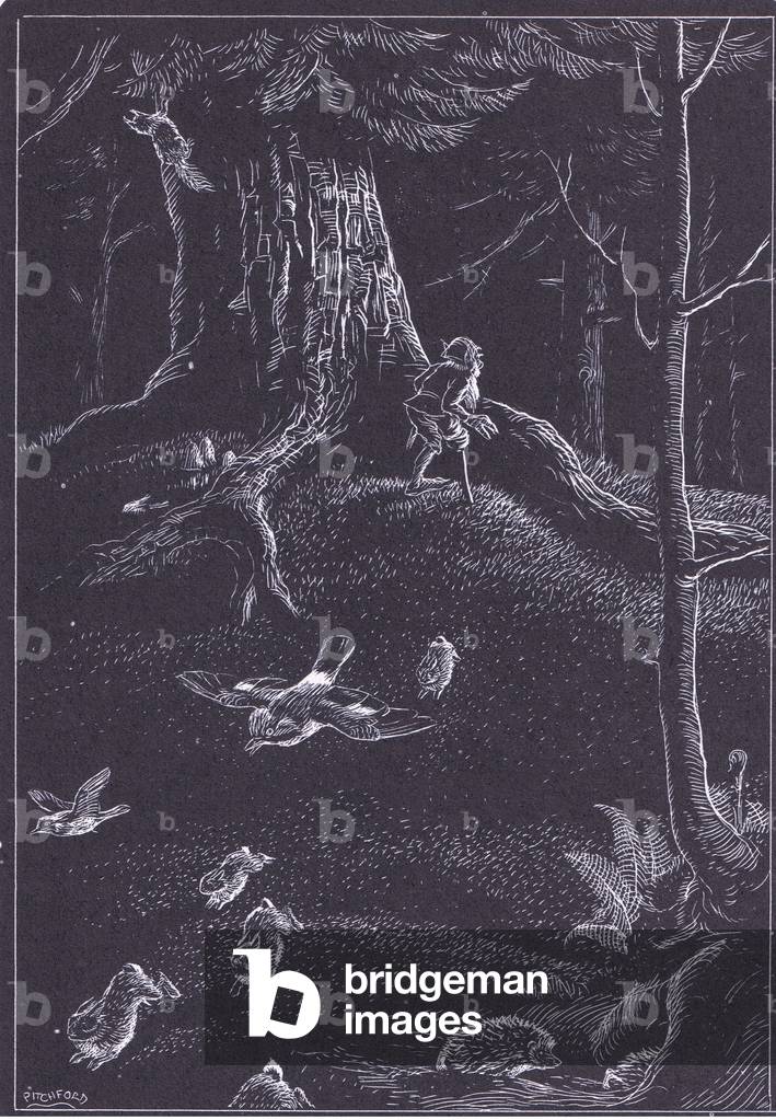 Dodder hears the approach of Giant Grum, illustration from Little Grey Men published by Methuen, 1974 (litho)