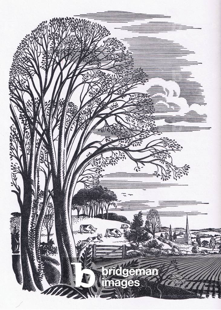 A village nestling in a valley amid rolling hills, a mixture of ploughed land and green pastures, illustration from The Children's Nature Book published by Odhams, 1958 (litho)
