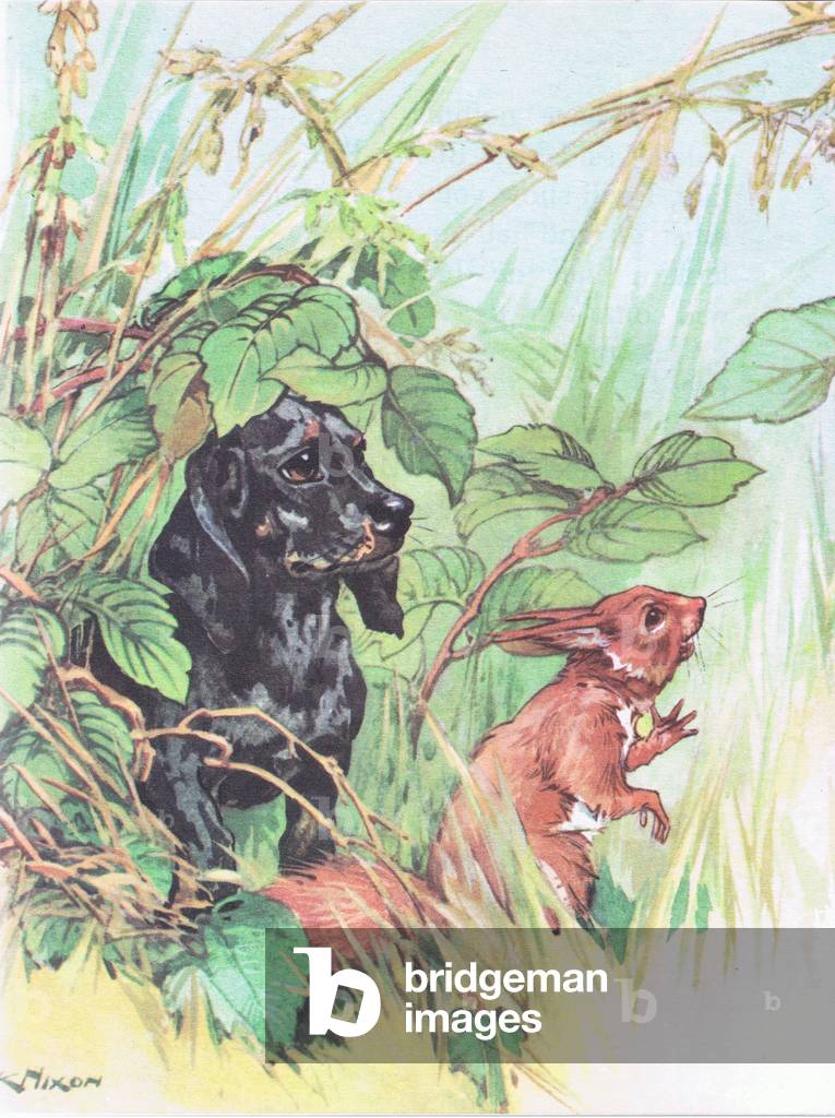 Pindi Poo and Mrs Bushy Tail, illustration from 'Pindi Poo ', 1957 (colour litho)