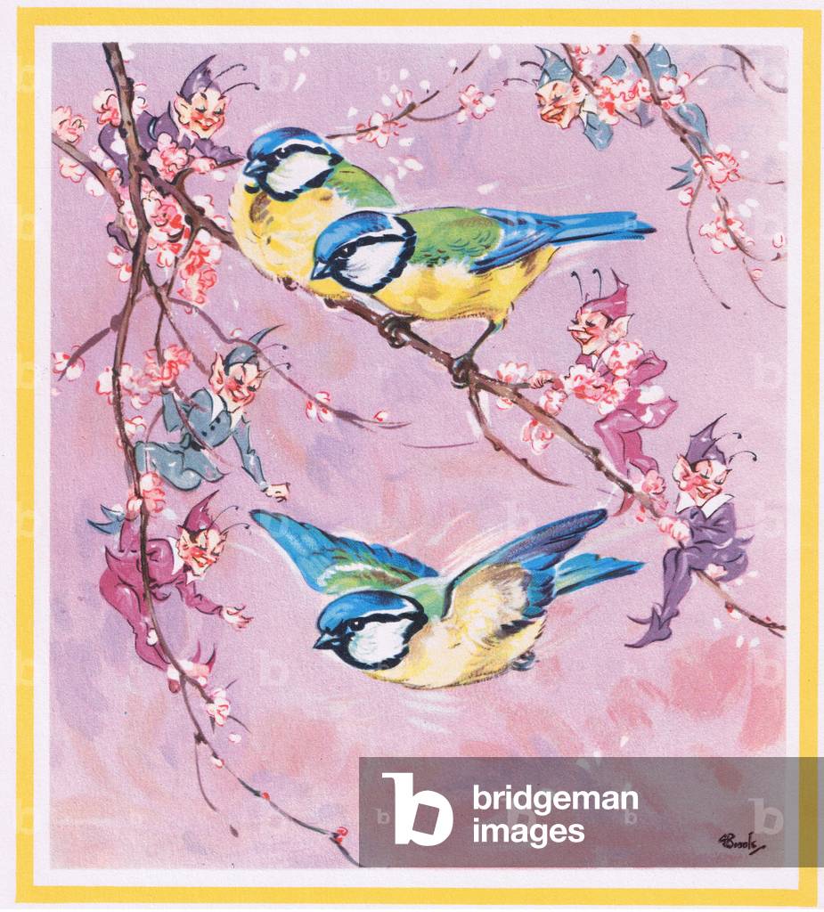 Blue Tits (colour litho)