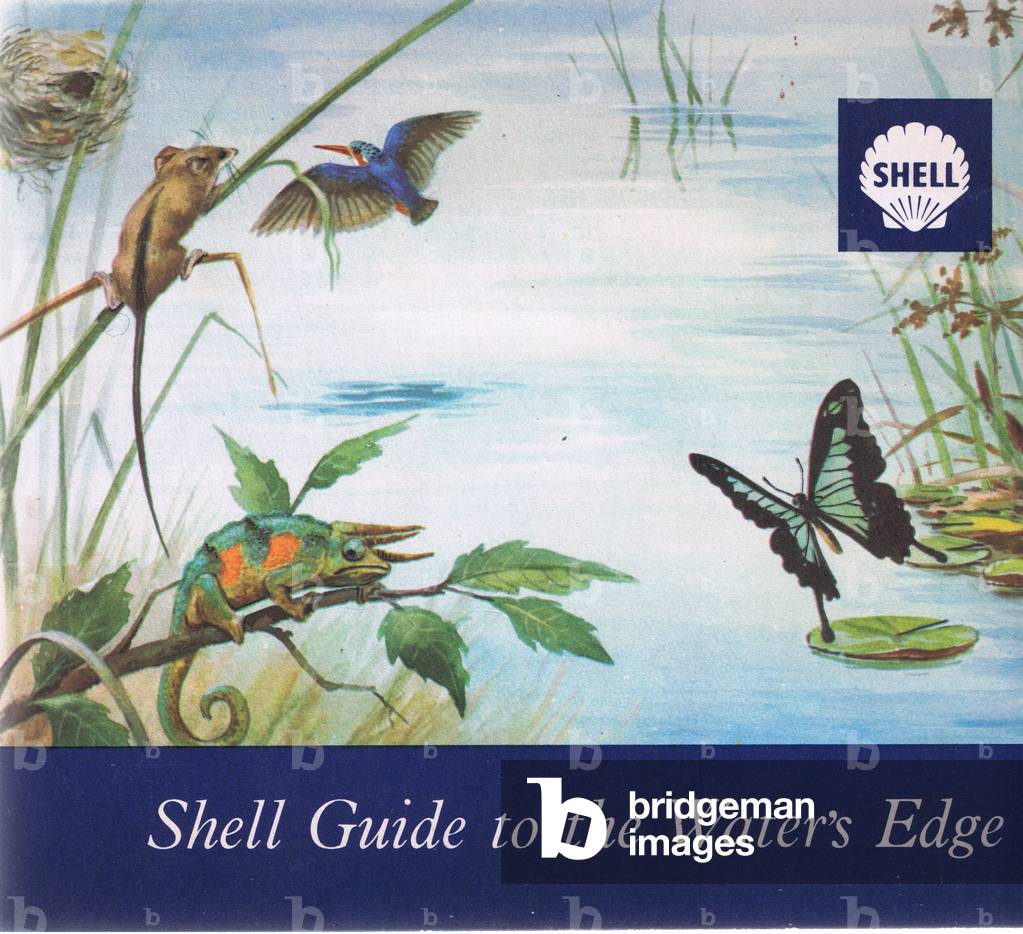Shell Guide to the Water's Edge, designed and printed by Shell in East Africa, 1960's (colour litho)