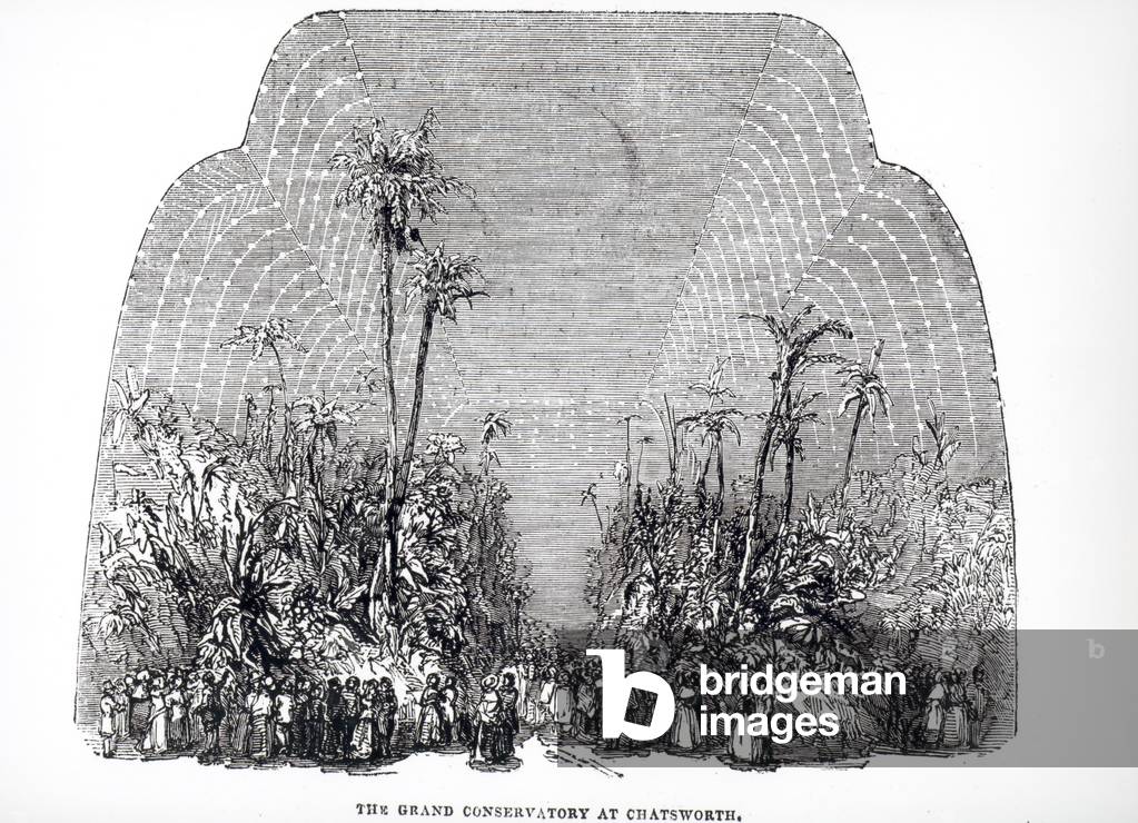 Interior of the Great Conservatory at Chatsworth, 1843 (engraving) (b/w photo)