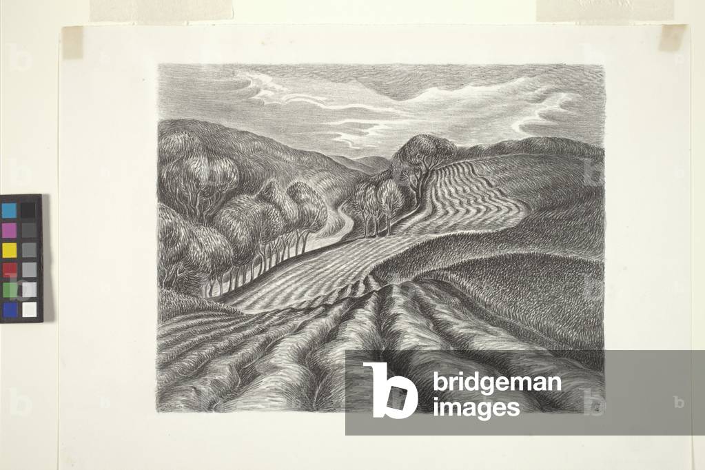 Ploughed Fields (ink, pencil)