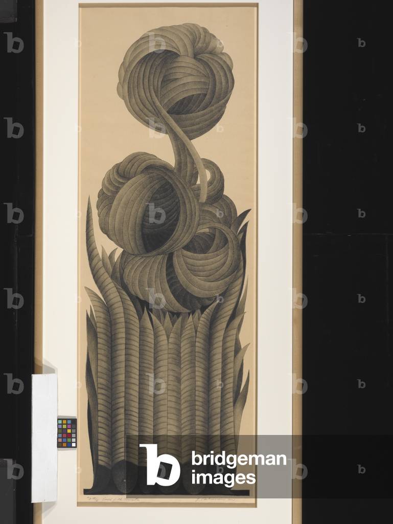 South Of The Serengeti (lithograph)