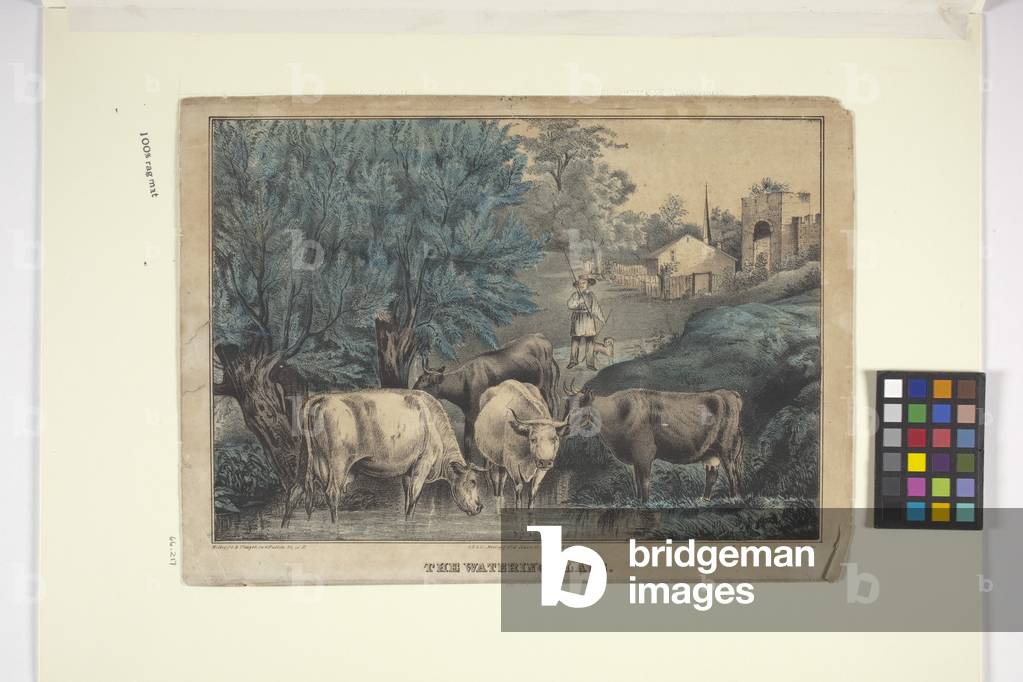 The Watering Place (hand-coloured lithograph)