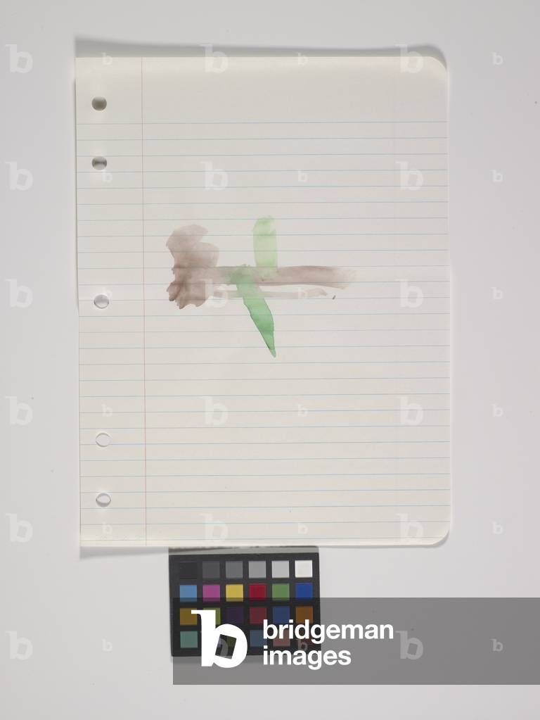 Loose Leaf Notebook Drawing - Box 9, Group 1 (watercolour on paper, 17 loose leaf drawings)