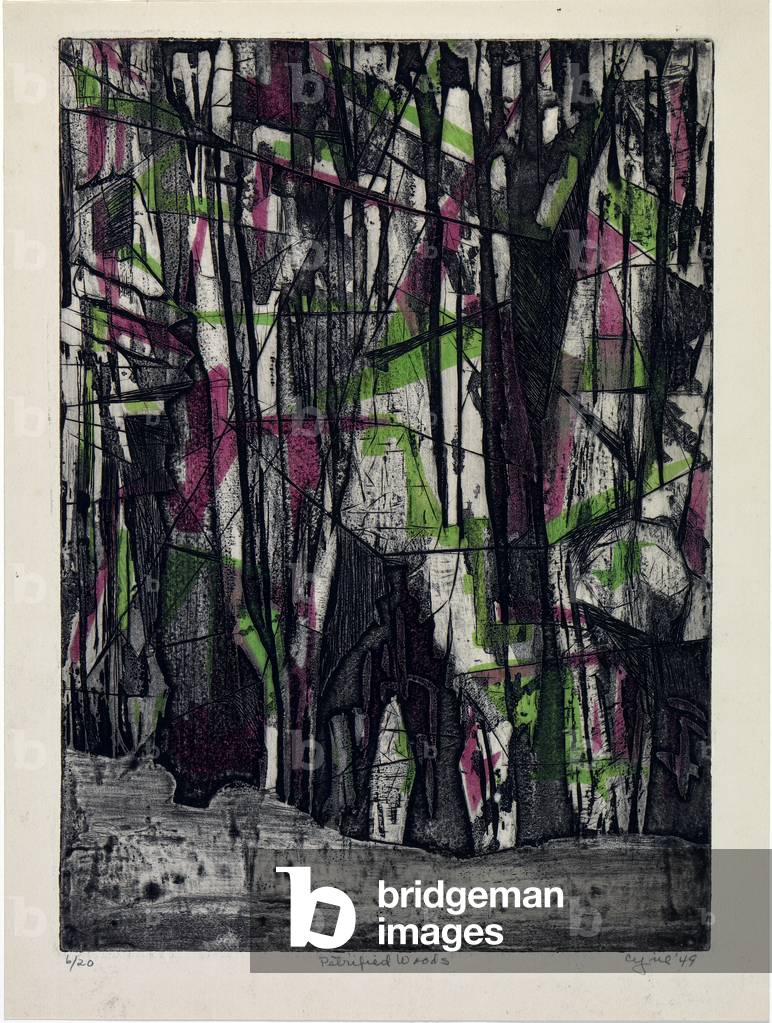 Petrified Woods, 1949 (colour aquatint with engraving)