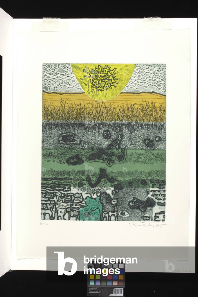 Tommy'S Pond (colour etching and aquatint on white arches paper)