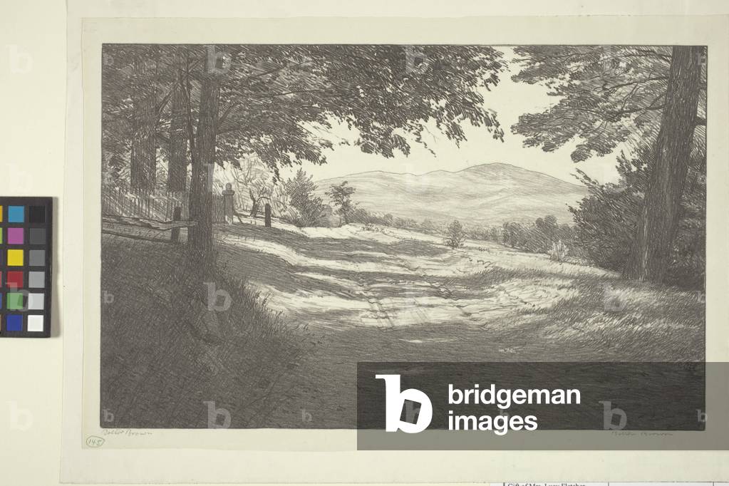 North View (ink on paper)