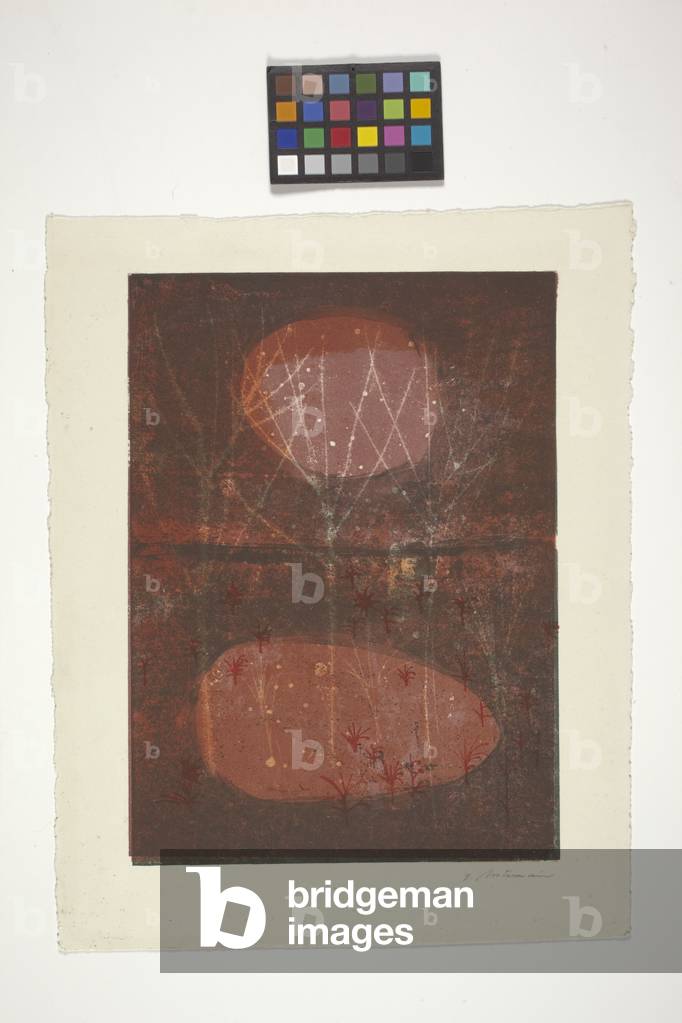 Untitled (Tree Forms) (colour lithograph on off-white german copperplate paper)