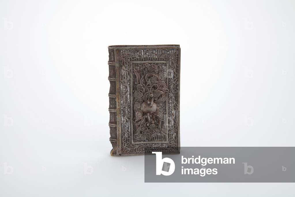 Case (silver)