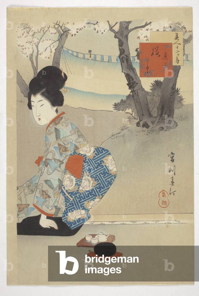 Three Blooming Cherry Trees, from the series 'Beauties of the 12 Months', 1898 (colour woodblock print) (see also 374374-5)