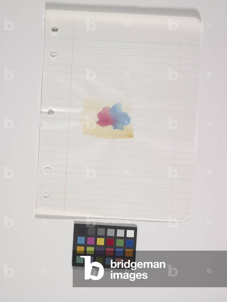 Loose Leaf Notebook Drawing - Box 9, Group 1 (watercolour on paper, 17 loose leaf drawings)