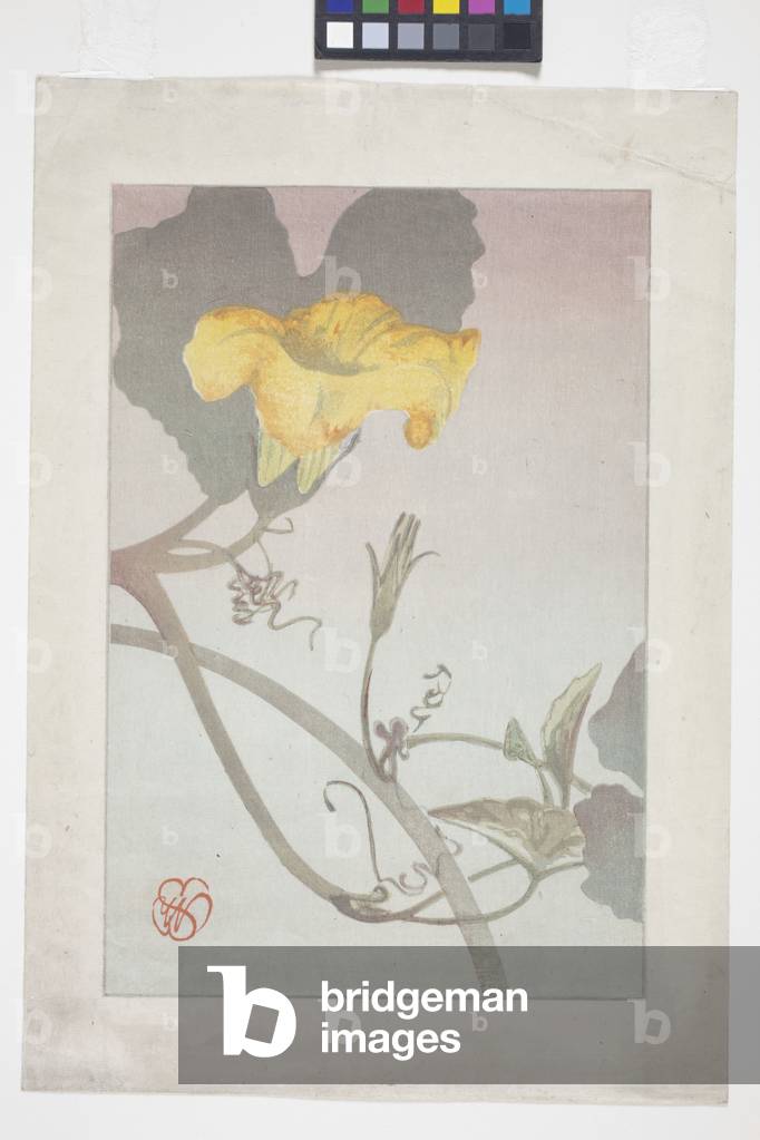 Flower Study, 1908 (colour woodblock print)