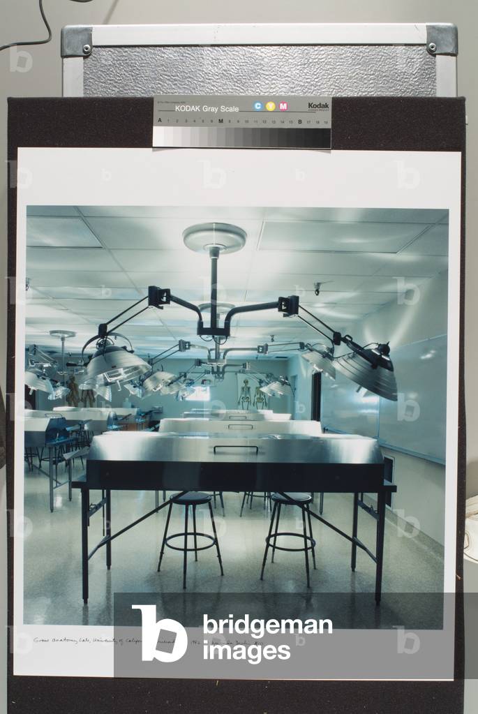 Gross Anatomy Lab, University Of California, Riverside, Ca (chromogenic colour print)
