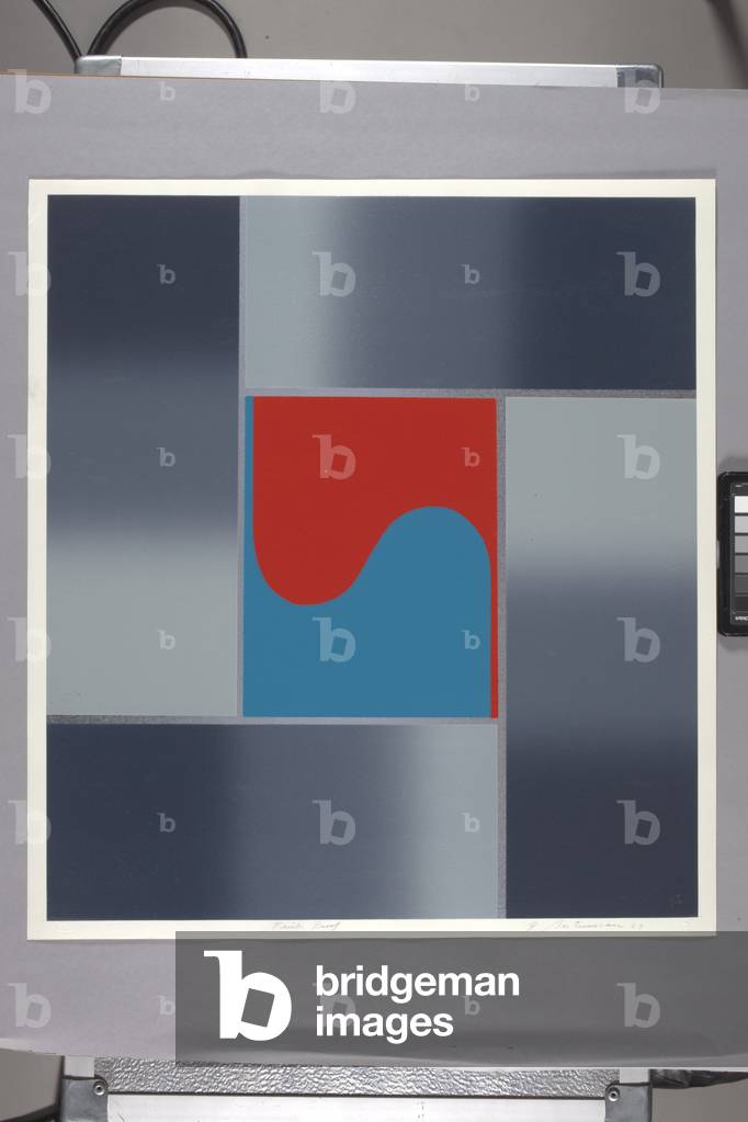 Plate Iii (colour lithograph printed on foil and mounted to white wove paper)