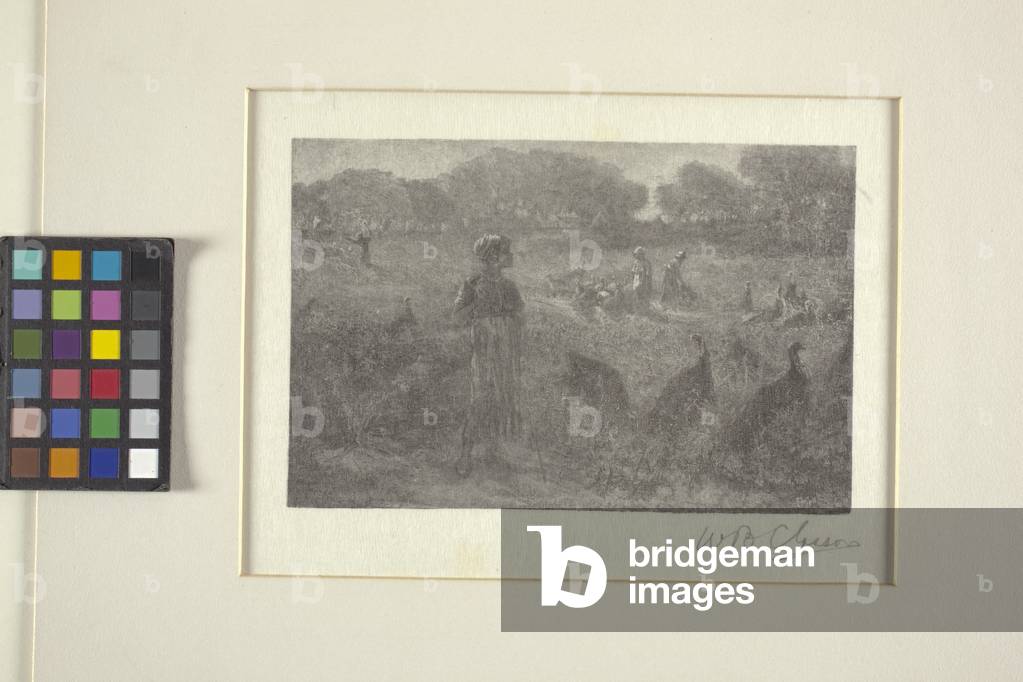 The Turkey Pasture (wood engraving)