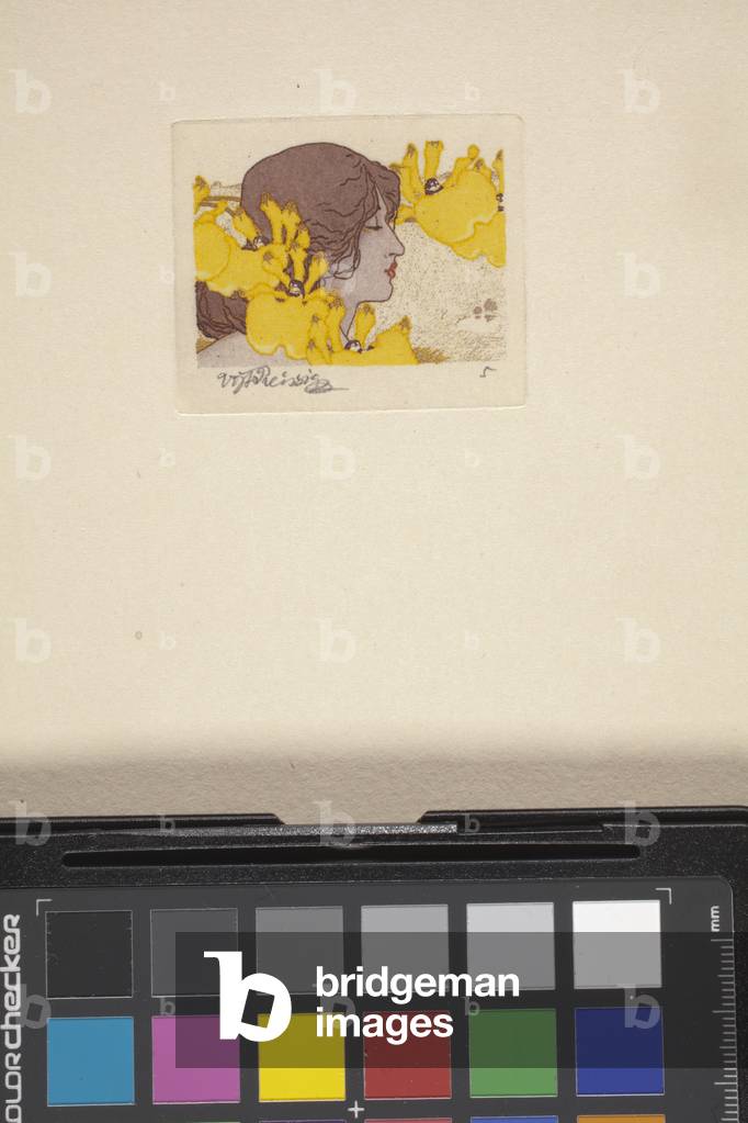 Untitled (colour etching)
