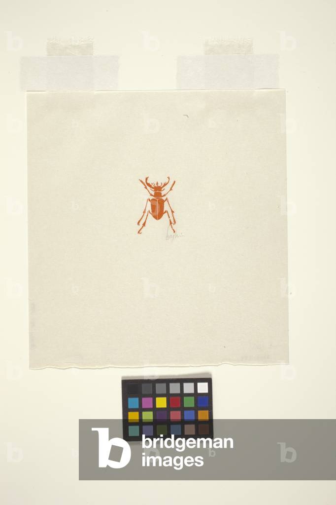 Beetle (wood engraving)