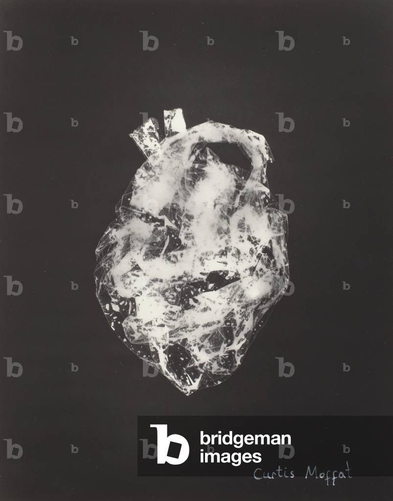 Untitled, c.1925 (photogram: gelatin silver print)