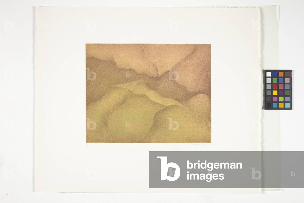 Untitled (colour lithograph)