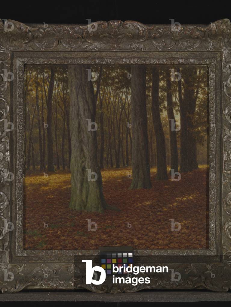 Woody Landscape (oil on canvas)