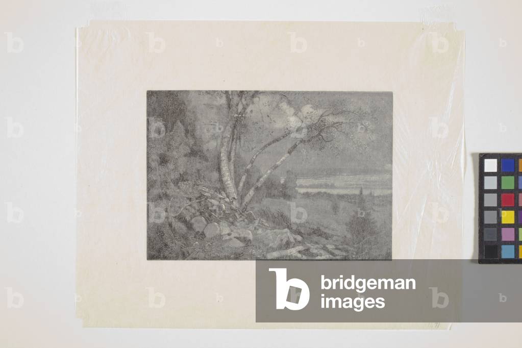 Landscape (wood engraving)