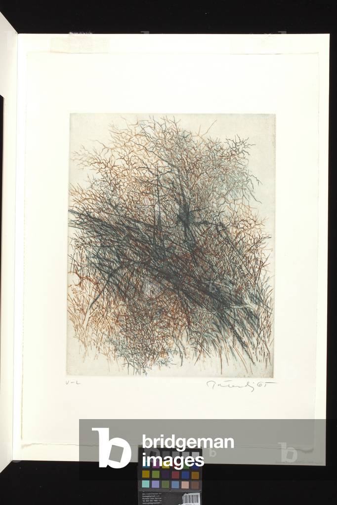 Sunshine With Showers (etching, lift-ground etching and engraving on white arches)