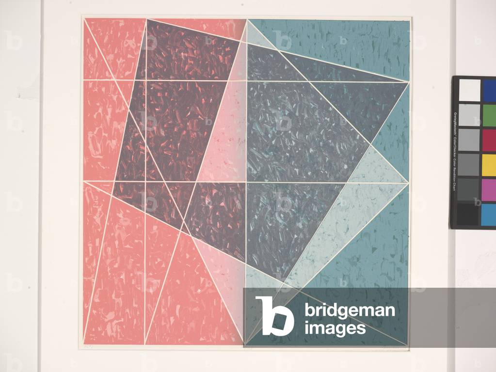 T.L.# 7 (colour lithograph)