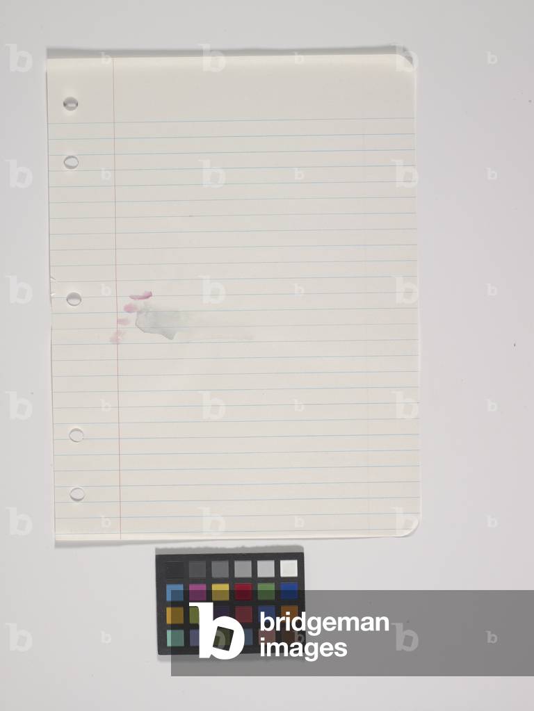 Loose Leaf Notebook Drawing - Box 9, Group 1 (watercolour on paper, 17 loose leaf drawings)