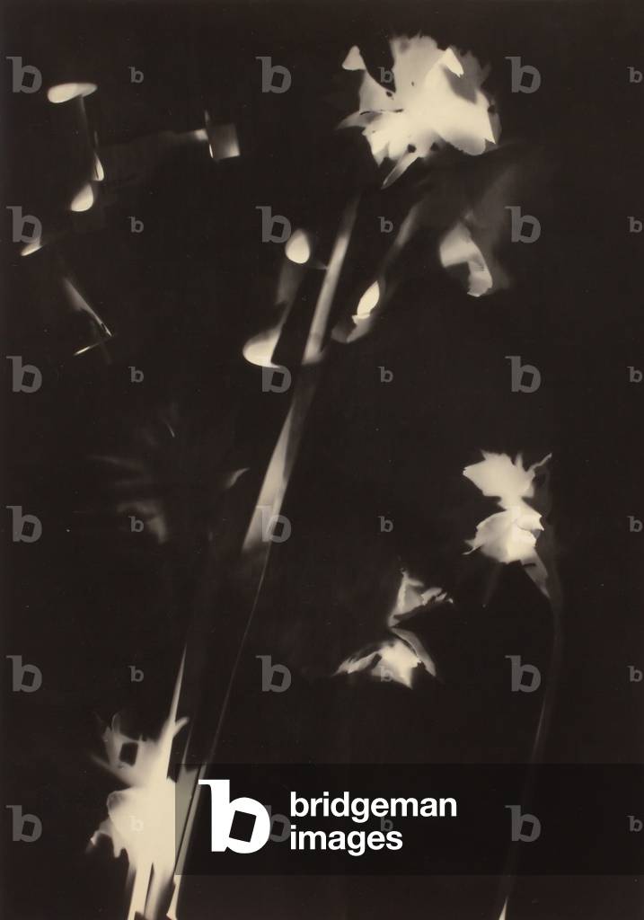 Untitled (gelatin silver print) 