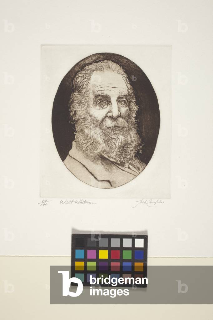 Portrait Of Walt Whitman (ink, print)