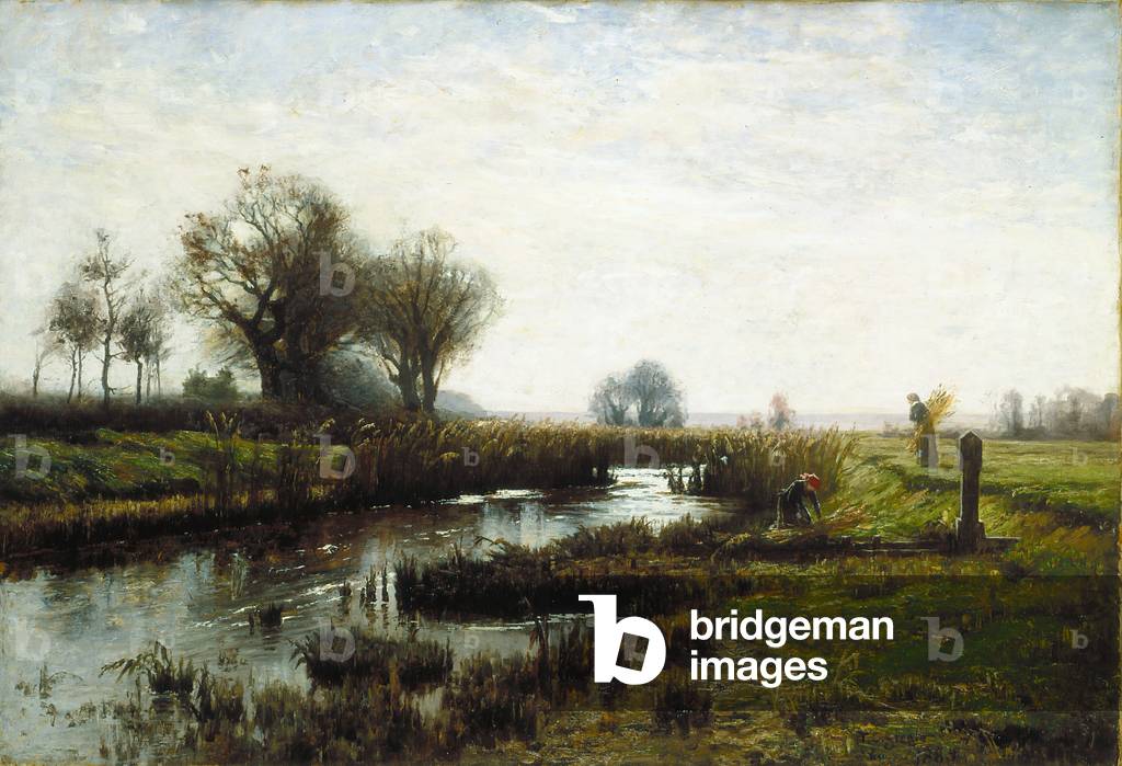 Late Afternoon, Dachau Moor (oil on canvas)