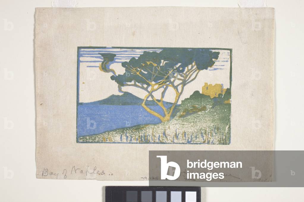 Bay Of Naples (ink, print)