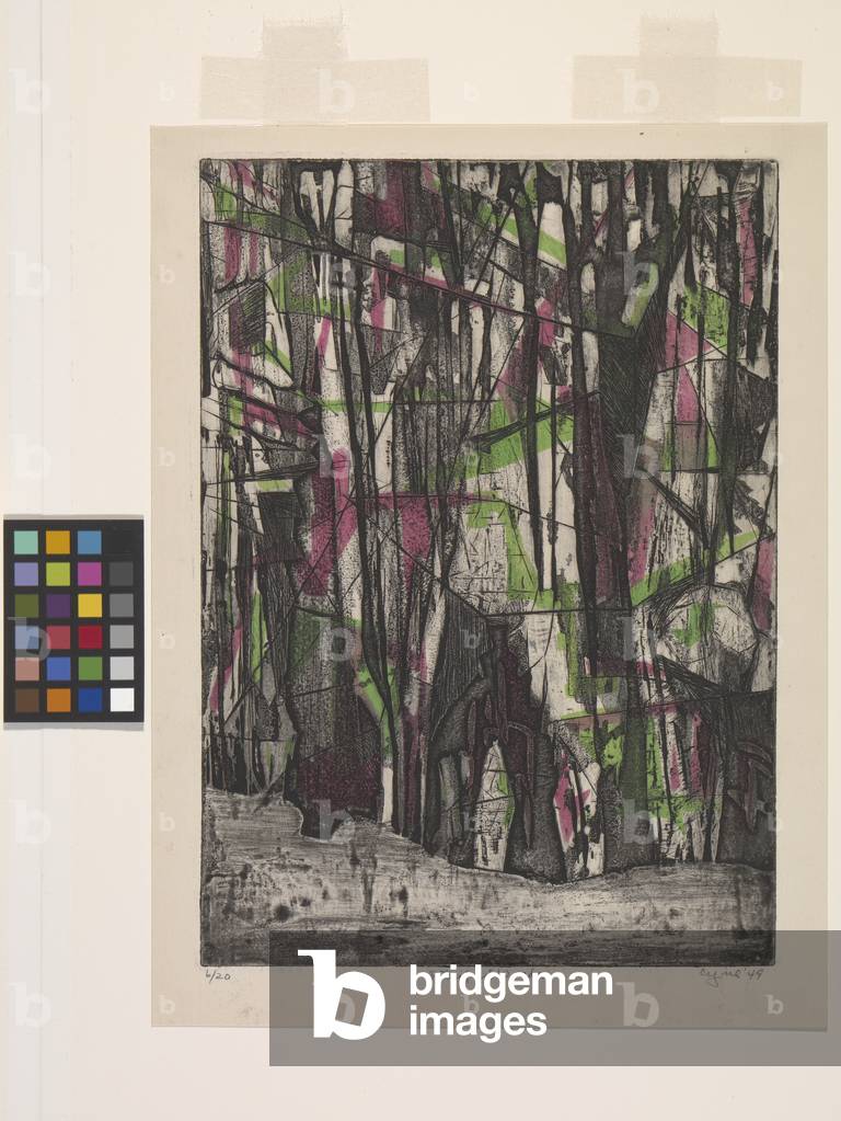 Petrified Woods (colour aquatint with engraving)