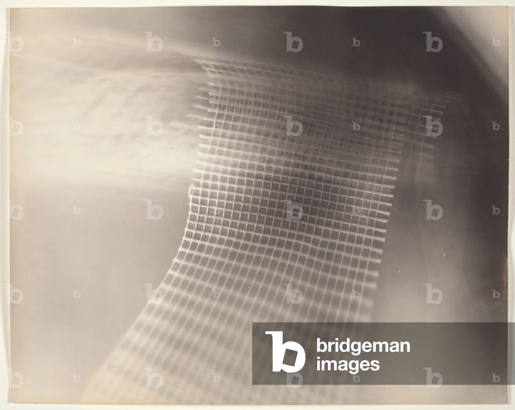Untitled, 1925-1929 (photogram: gelatin silver print)