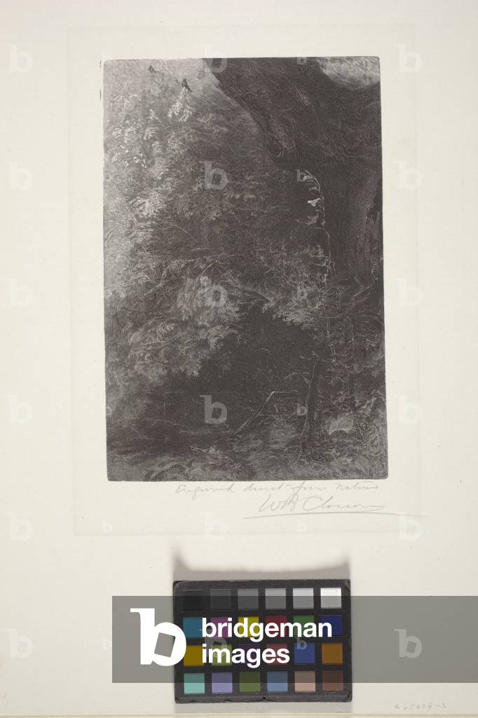 Landscape (wood engraving)