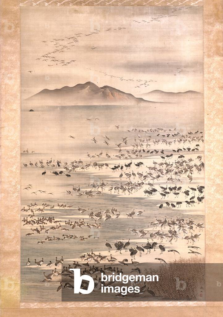 Myriad Of Aquatic Birds (ink & colour on silk)