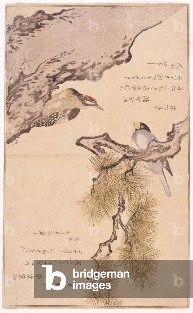Two Birds On A Tree