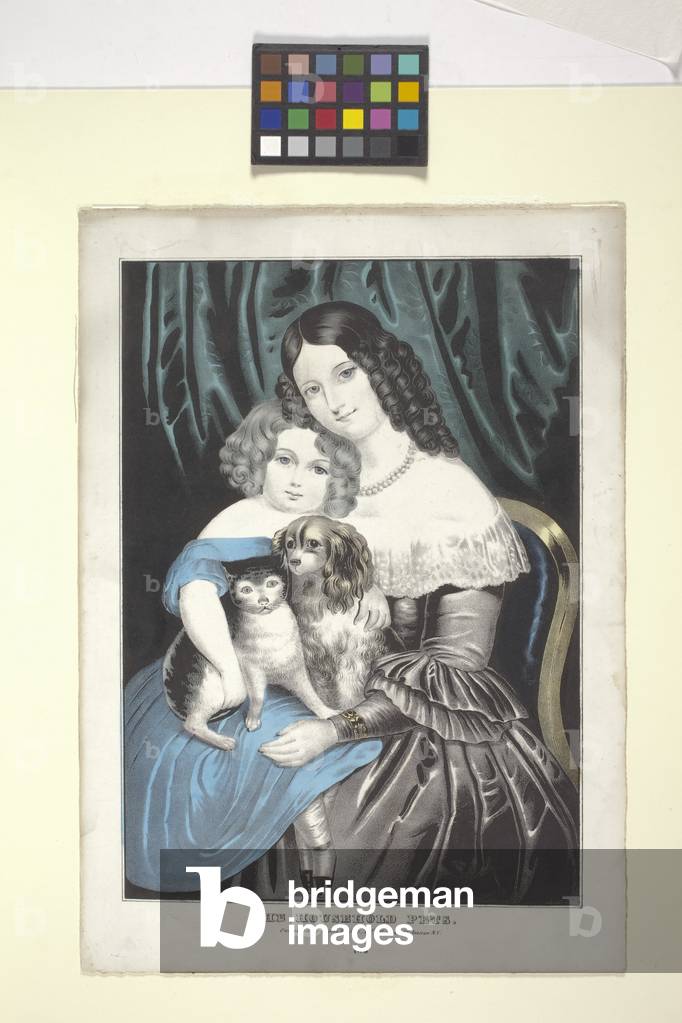 The Household Pets (hand-coloured lithograph)