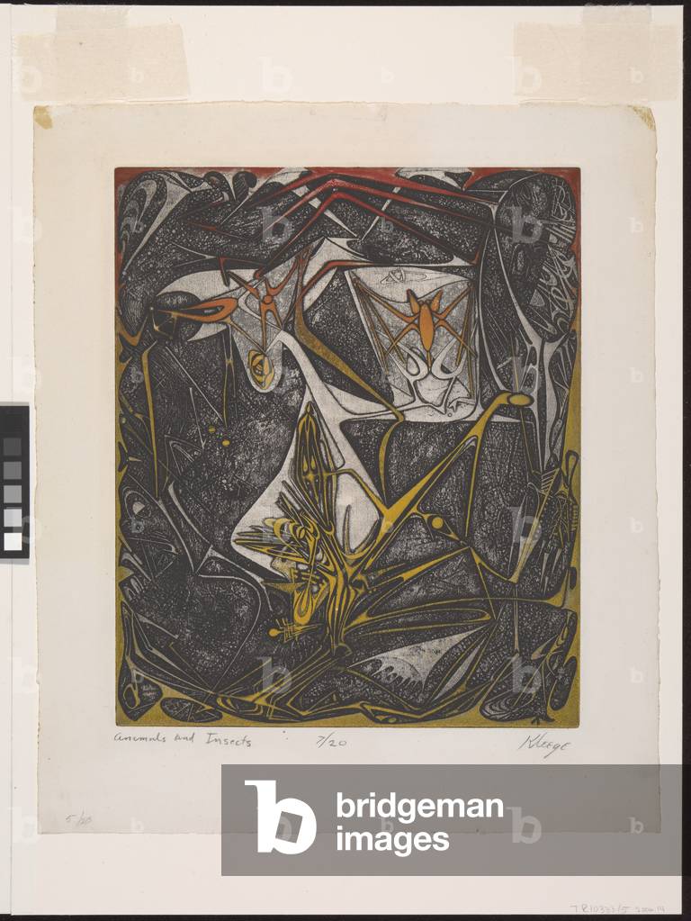 Animals And Insects (colour etching and aquatint)