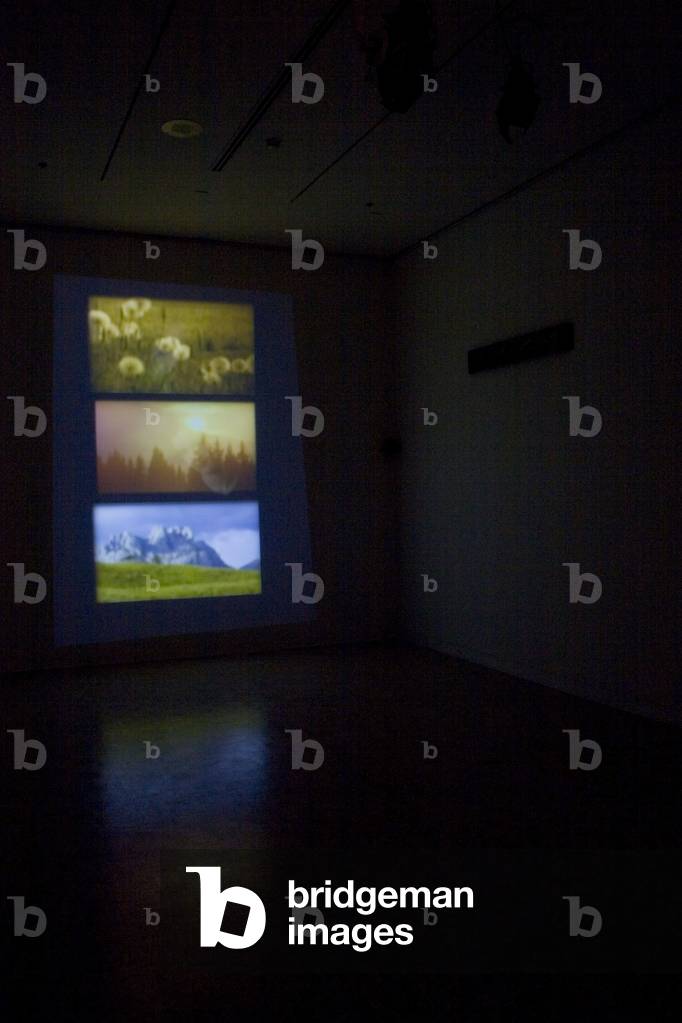 Bliss For Schall Und Rauch (dvd, projector and speakers)