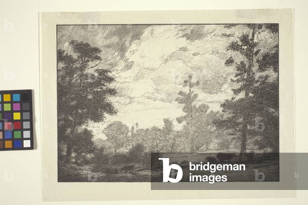 The Cow Lot (ink on paper)