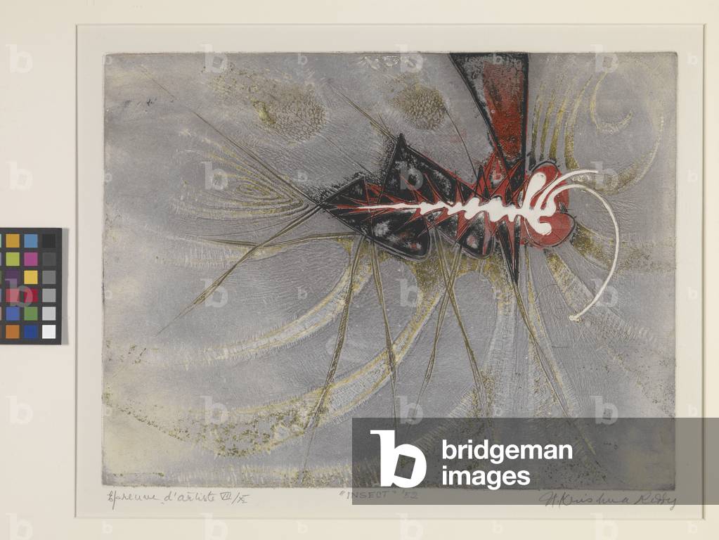 Insect (engraving printed with simultaneous colour process)