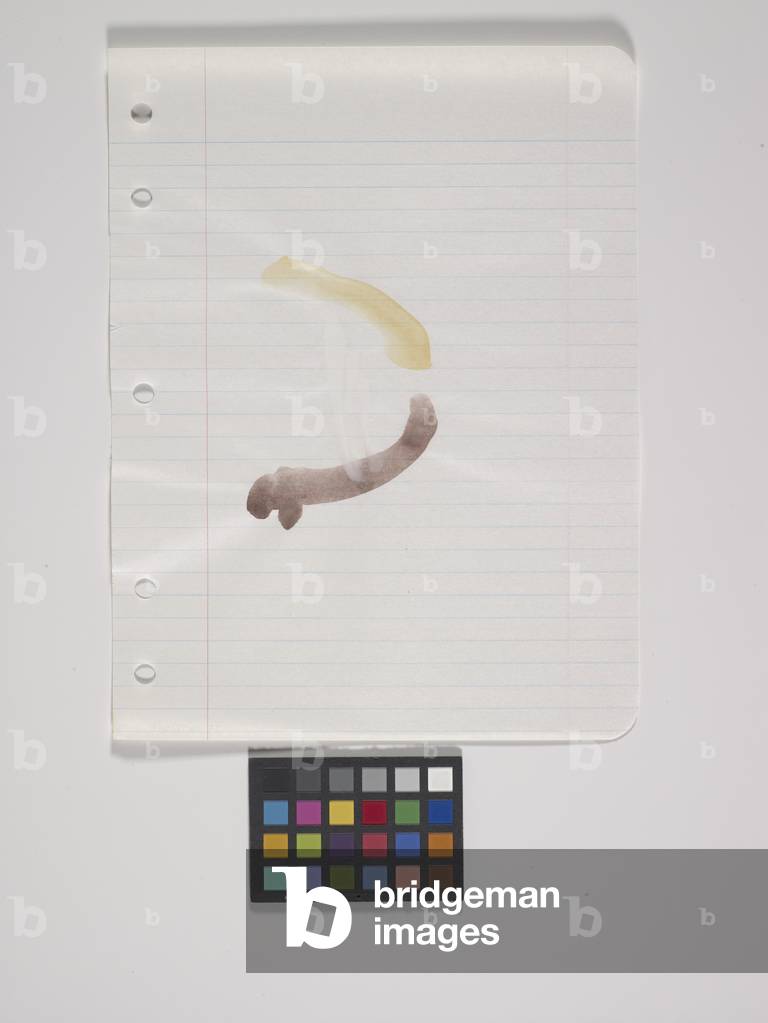 Loose Leaf Notebook Drawing - Box 9, Group 1 (watercolour on paper, 17 loose leaf drawings)