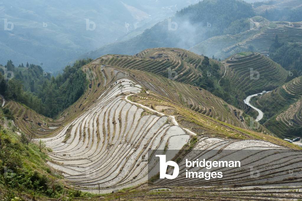 Longsheng rice terraces; Longji Terraced Fields; near Guilin; Guangxi Autonomous Region; China; Asia