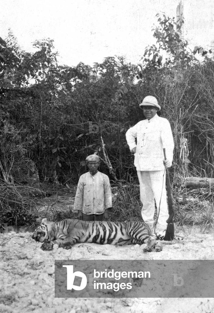 A hunter in colonial dress, poses his hunting trophee near a remains of a tiger, probably in India. Beginning 20th century Historic photograph, hunter with a dead tiger