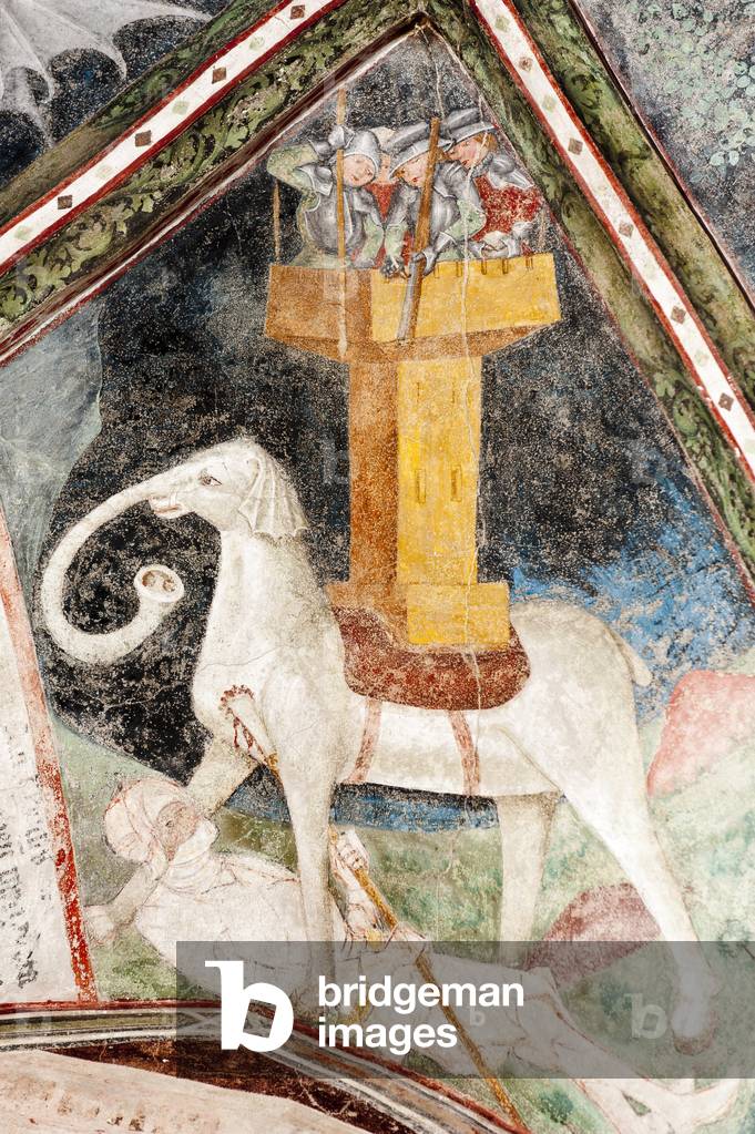 Gothic fresco; Eleazar Awaran kills the War Elephant Soliman and is crushed it; 3. Cloister; Cathedral; Brixen; South Tyrol; Italy; Europe