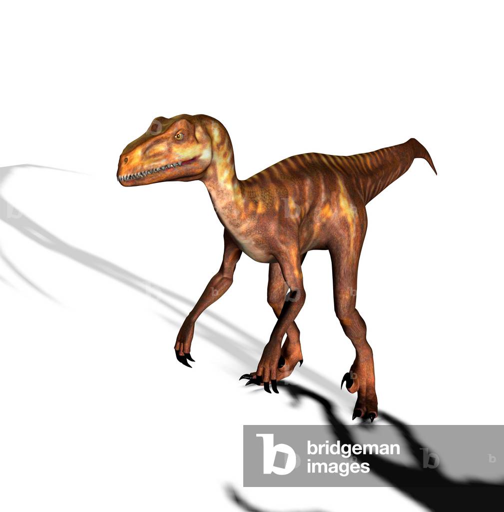 Summary Image: Deinonychus Dinosaur who lived in the prehistoric period of Cretatian 